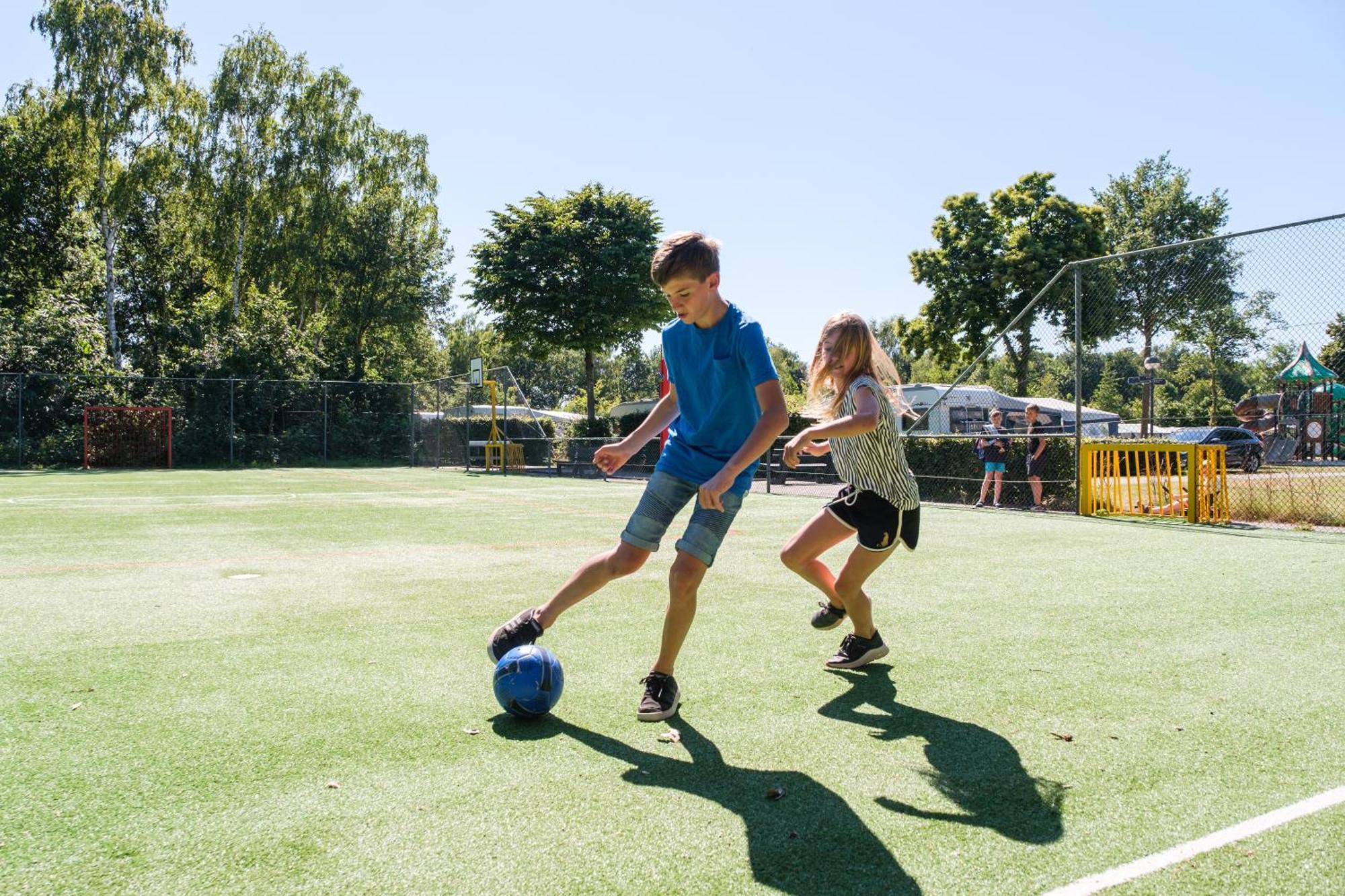 Camping De Pallegarste - Voor Uw Vakantiebestemming! Marienberg Eksteriør billede