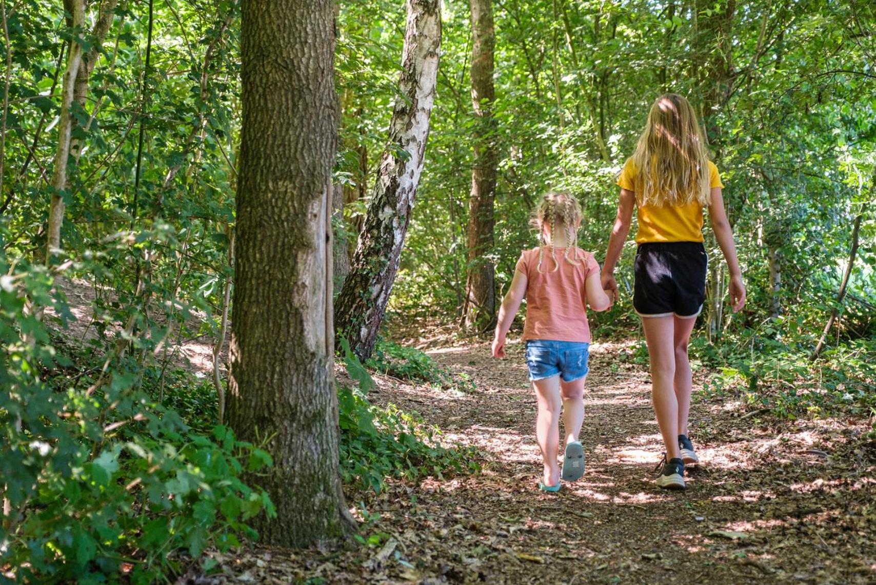 Camping De Pallegarste - Voor Uw Vakantiebestemming! Marienberg Eksteriør billede